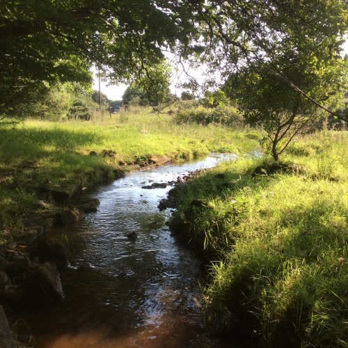 Photo Gallery Image - The stream at the edge of the meadow.