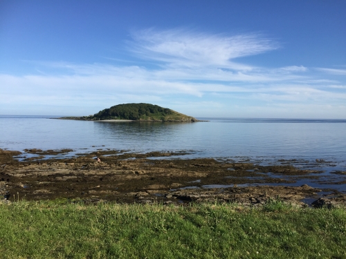 Photo Gallery Image - St George's Island, also known as Looe Island. Well worth a visit!