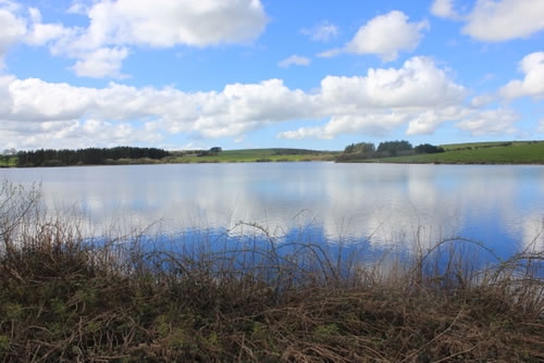 Photo Gallery Image - Across the water at Siblyback lake.