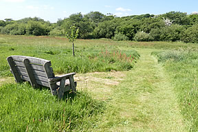 April Cottage - meadow
