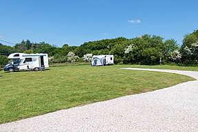 Our caravan field