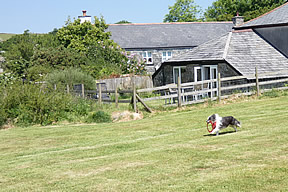 Field View Cottage - Bob's field