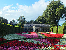 Mount Edgcumbe Gardens