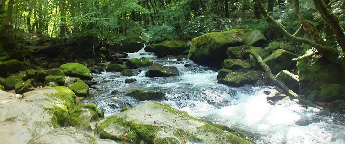 Golitha Falls with its lovely woodland walks is nearby